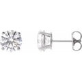 Stud Earrings
