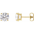 Stud Earrings